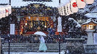 Abondantes chutes de neige au Japon depuis plusieurs jours (ici à Tokyo, le 06/01/2022)