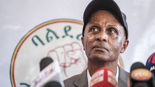 Éthiopie : l'opposant Eskinder Nega demande la dissolution du TPLF