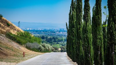 Tu Bishvat was used in the late 19th century to plant trees across modern-day Israel, draining the swampland to make it inhabitable. Tu Bishvat was used in the late 19th century to plant trees across modern-day Israel, draining the swampland to make it inhabitable.