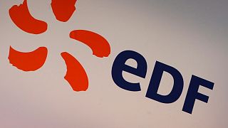 Fransız enerji şirketi EDF