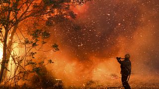 صورة لحريق اندلع في منطقة قرطبة الأرجنتينية في 2020