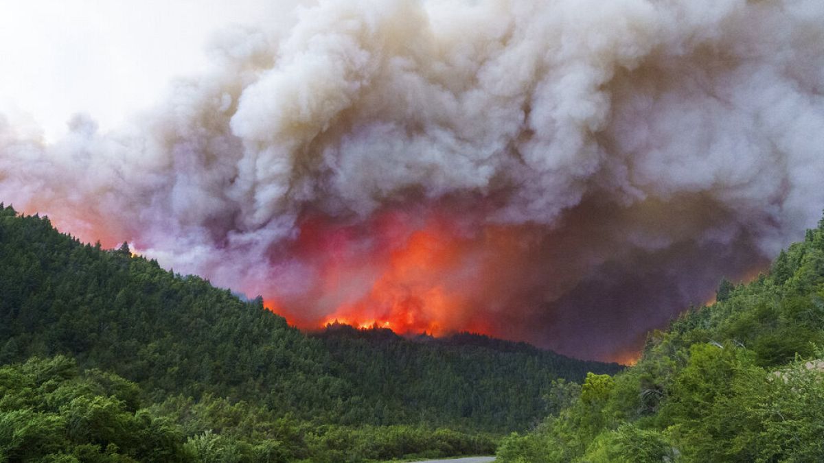 En medio de altas temperaturas, los incendios forestales en Argentina persisten 