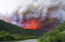 Forest fires rage in nine of Argentina's 23 provinces