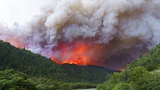 Parque florestal na Argentina arde desde 6 de dezembro
