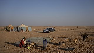 Sahara Occidental : l'ONU en visite pour entamer le processus de paix