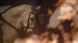 «Luminarias» στην Ισπανία: Άλογα πηδούν πάνω από τις φλόγες