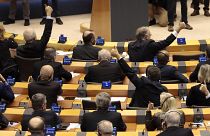 MEPs voting in the European Parliament in January 2020.