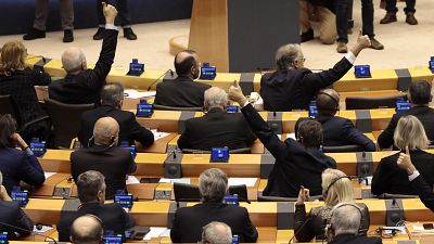 MEPs voting in the European Parliament in January 2020.