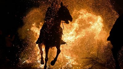 A horseman rides through a bonfire during the traditional religious festival of "Las Luminarias" in honour of San Antonio Abad (Saint Anthony), patron saint of animals.