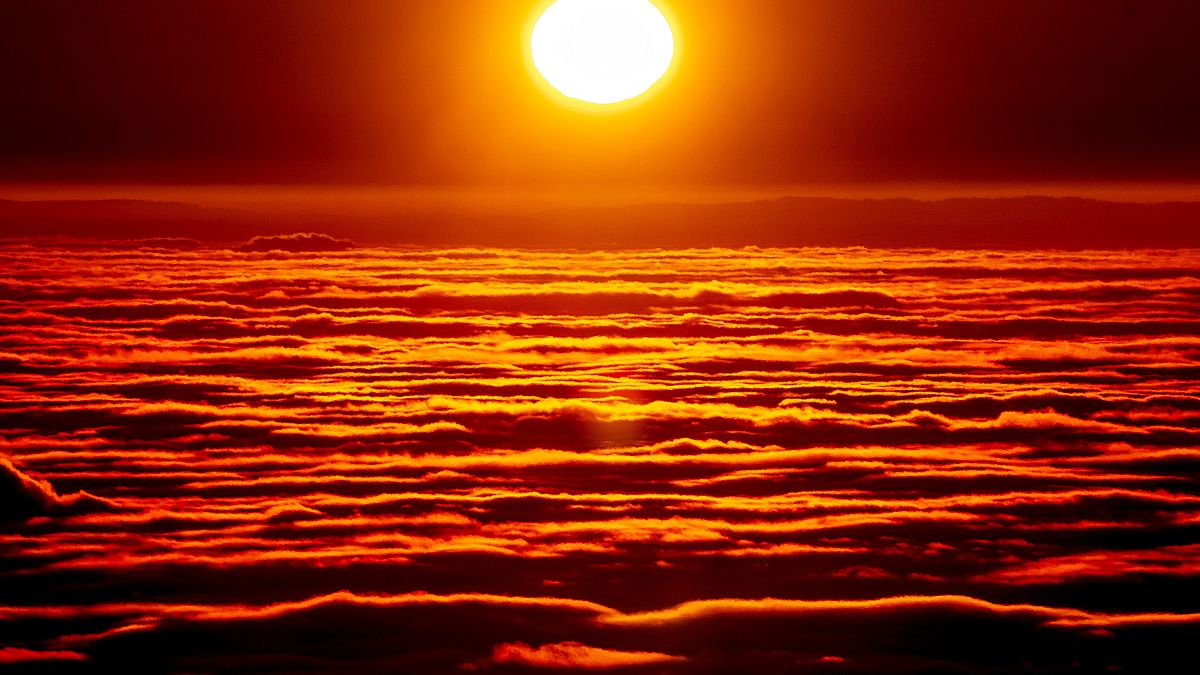 الشمس تشرق فوق الضباب الكثيف الذي يغطي مدينة فرانكفورت الألمانية. 2022/01/14.