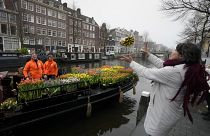 A woman catches a free bouquet of tulips in Amsterdam.