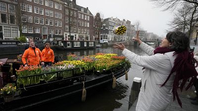 Viajantes de uma embarcação distribuem tulipas