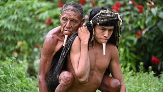 Tawy Zó'é carrega o pai ás costas pela Amazónia para se poderem imunizar