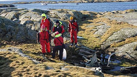 Around 1,500 volunteers, researchers and Mausund Field Station staff have been involved in the huge clean-up effort.