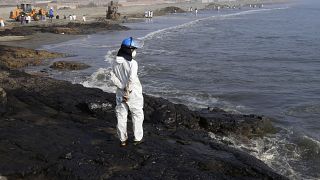 Спасатель на побережье Вентанильи после разлива нефти, 17 января 2022 г.