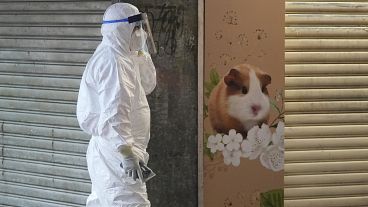 A staffer from the Agriculture, Fisheries and Conservation Department walks past a pet shop which was closed after some pet hamsters tested positive for COVID, in Hong Kong.