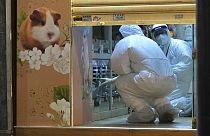 Tiergeschäft in Hongkong, in dem mehrere Hamster mit dem Coronavirus infiziert waren