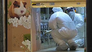 Tiergeschäft in Hongkong, in dem mehrere Hamster mit dem Coronavirus infiziert waren