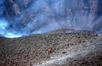 Des scientifiques marchent près du cratère du volcan Cumbre Vieja