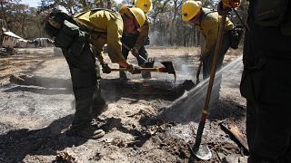 ΗΠΑ: Μεγάλη δασική φωτιά στο Τέξας