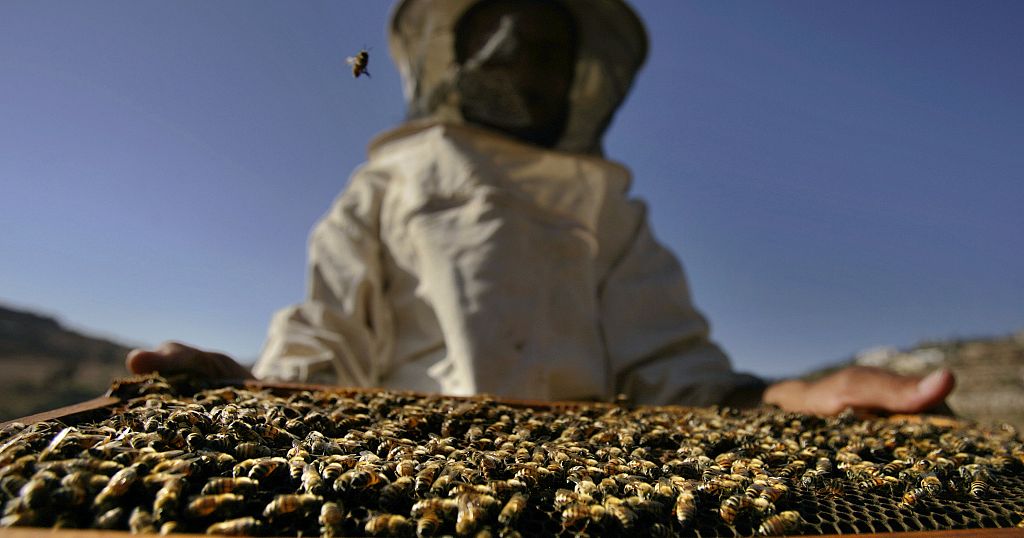 Kenyans fight to save bees | Africanews - Vimarsana News
