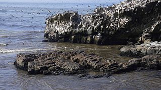 Πετρελαιοκηλίδα στις ακτές του Περού από το τσουνάμι στην Τόνγκα