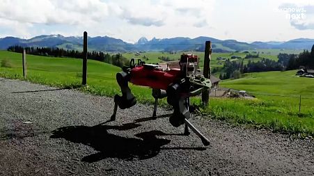 Robot dog ANYmal is able to work out how to walk over any terrain by combining what its sensors can “see” with what it knows about its surroundings.