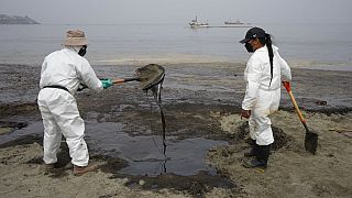 Des personnes nettoient la plage de Conchitas à Ancon, Pérou, le 20 janvier 2022