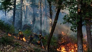 Biden wants to use "prescribed burns" to reduce catastrophic wildfires.