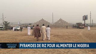 Des pyramides de riz pour alimenter le Nigeria [Business Africa]