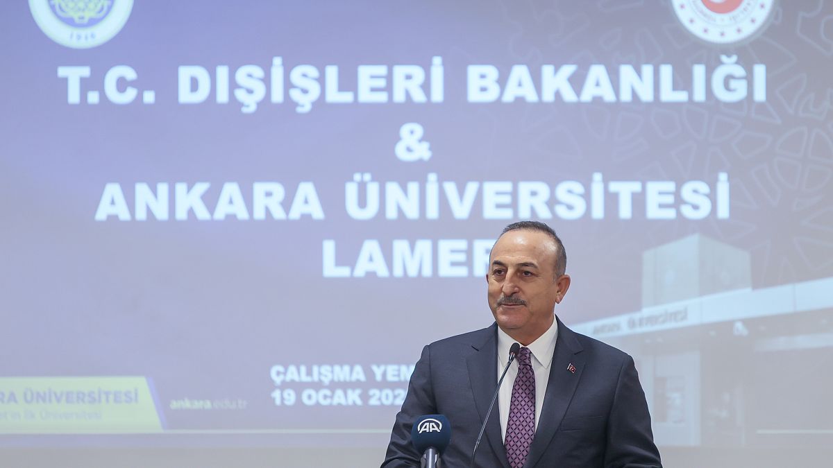 Dışişleri Bakanı Mevlüt Çavuşoğlu, 