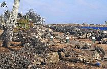 Tsunami sonrası Tonga'da büyük yıkım meydana geldi