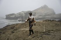 Disastro ambientale in Perù. Tonnellate di petrolio si sono riversate sulle coste del paese 
