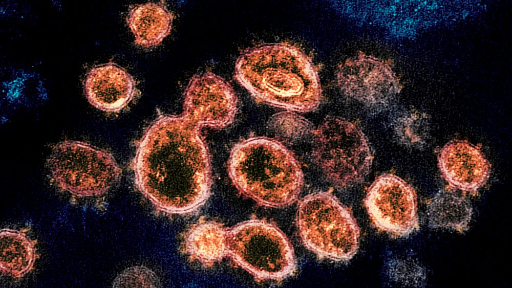 Omicron BA.2 subvariant: is it more contagious or more dangerous than other viruses?