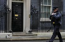 A police officer walks past 10 Downing Street while Larry the Cat, Britain's Chief Mouser to the Cabinet Office, sits on the pavement in London, Jan. 11, 2022. 