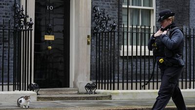 A police officer walks past 10 Downing Street while Larry the Cat, Britain's Chief Mouser to the Cabinet Office, sits on the pavement in London, Jan. 11, 2022. 