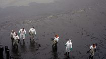 Victime d’une marée noire sur ses côtes, le Pérou déclare "l'urgence environnementale"