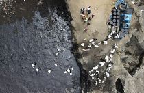 В Перу продолжаются работы по очистке побережья от нефти