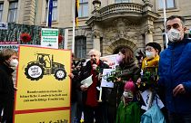 Фермеры протестуют в Берлине