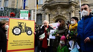 Фермеры протестуют в Берлине
