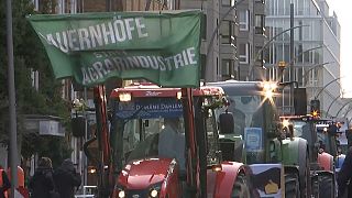 مظاهرة في ألمانيا من أجل سياسة زراعية وغذائية مستدامة