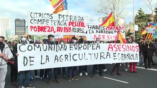 Varios miles de ganaderos y agricultores reclamaron ayudas y distintas políticas agrícolas en Madrid