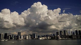 Cumulus clouds are formed over Tokyo