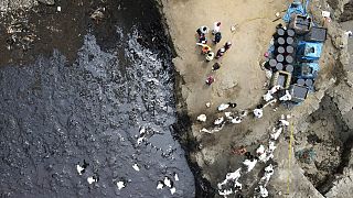 ökológiai katasztrófa nyomai Peru partvidékén