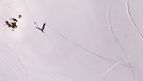 Bolivia releases condor into Andean region