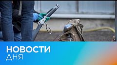 Новости дня | 25 январь — дневной выпуск