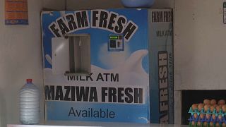 Au Kenya, les distributeurs automatiques de lait ont la cote