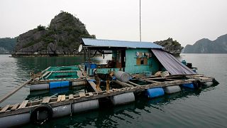 Floating houses could be the future of keeping floods at bay.