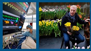 [ARCHIVES] A g. :  patient en soins intensifs à Strasbourg (France), le 13/01/2022 - A dr. : comédien néerlandais posant avec des tulipes à Amsterdam (Pays-Bas), le 15/01/2022