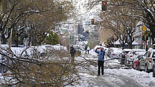 Πεσμένα δέντρα στην Αθήνα